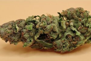 top hybrid strains