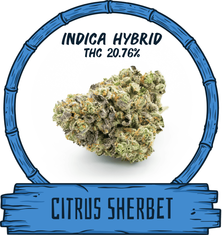 Citrus Sherbet
