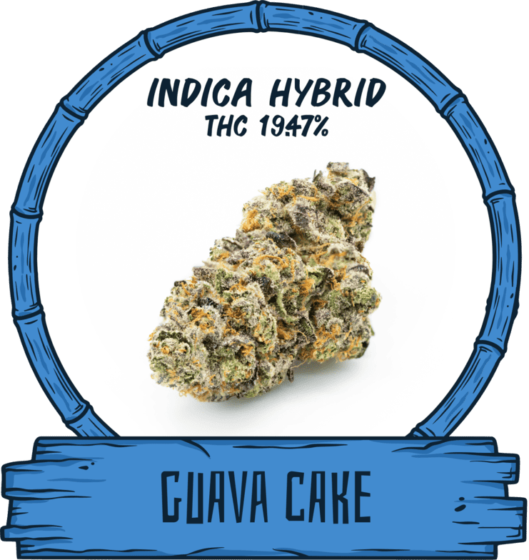 Guava cake
