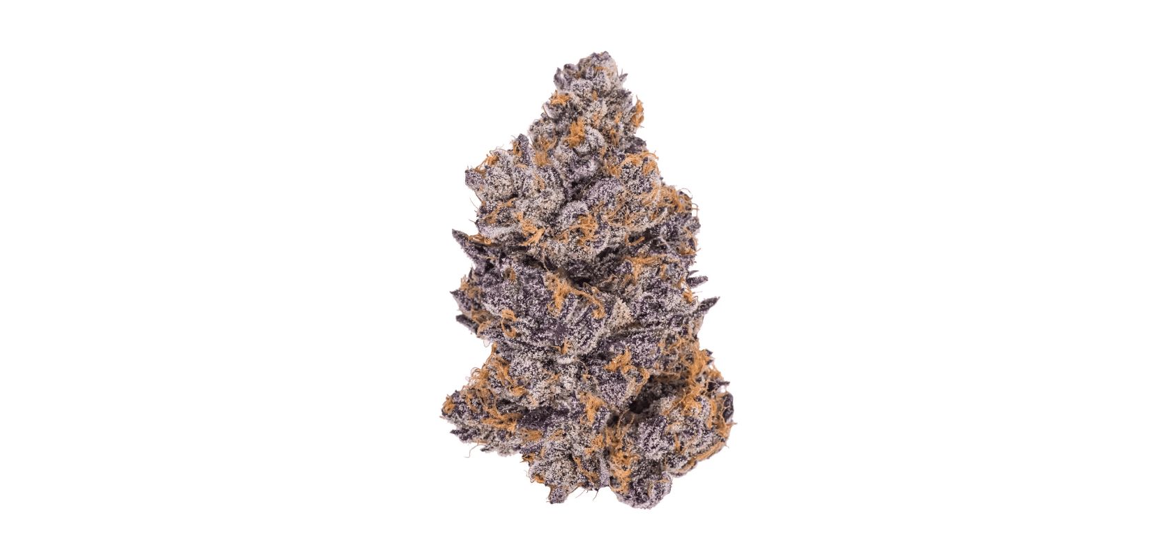 top hybrid strains in 2025
