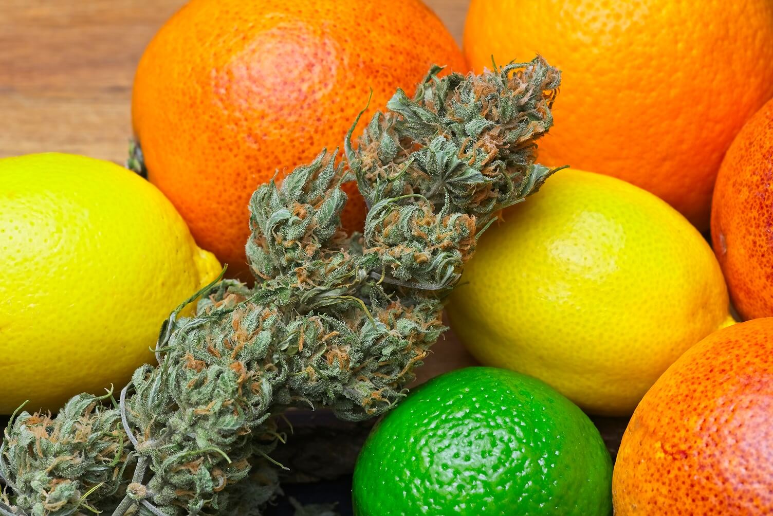 Cannabis Strains for Sleep in 2025
