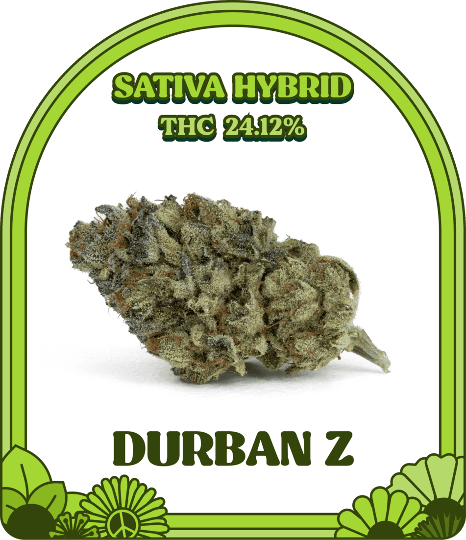 Durban Z