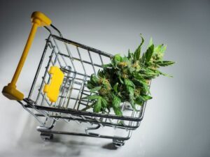 Buying Cannabis In Bangkok