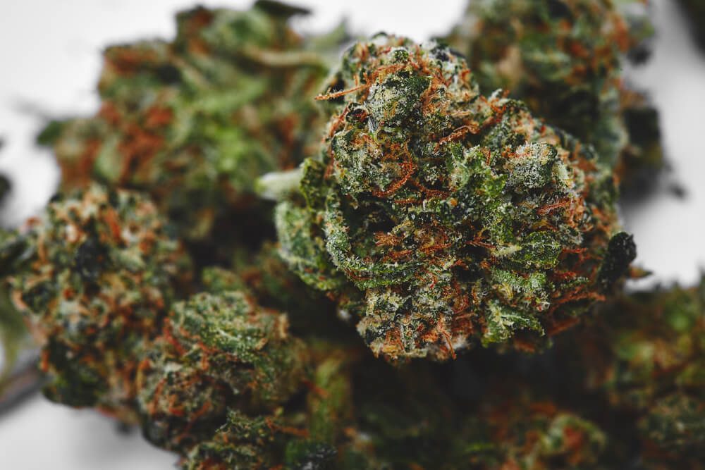 Cannabis Myths Debunked in 2025