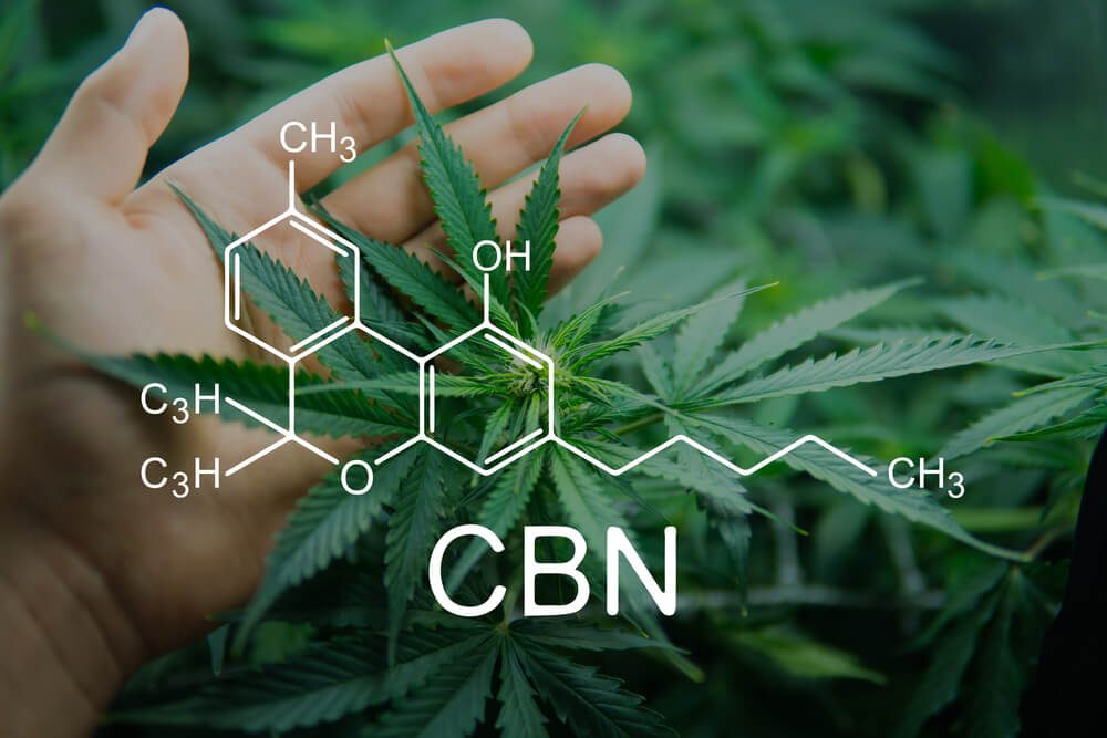 Medical Cannabis For Arthritis