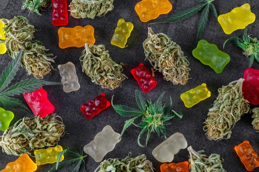 CBD Oil Vs CBD Gummies debate