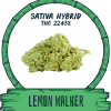 LEMON WALKER