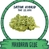 MANDARIN GLUE