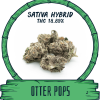 OTTER POPS